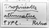 CollectionObject 1580140; e0d1ee04-b8da-4f92-805c-66f8986e9839: Image Carbonell, C.S. labels (syntype). (CollectionObject).