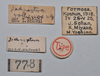CollectionObject 1553135; 2e9a1ea7-b405-4e40-ae29-1932390f9fd7: copyright NTUC. data labels (syntype). (CollectionObject).;CollectionObject 1553136; 466b79e0-966e-4969-a1a2-3a25a138e2a2: copyright NTUC. data labels (syntype). (CollectionObject).