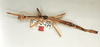 CollectionObject 1561892; c14dfd6f-db7e-4921-a1bb-ac429fb79437: copyright Oliver Zompro. female (syntype). (CollectionObject).;CollectionObject 1561893; 180332c1-404c-4c89-9c17-e1683a60bfe1: copyright Oliver Zompro. female (syntype). (CollectionObject).