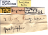 CollectionObject 1501930; 76b329a2-b6d7-4e42-9ed5-10149ebce569: labels. (CollectionObject).