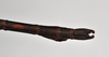 CollectionObject 1558576; NTUC 709 and barcoded specimens, 93d36653-c881-422a-9af7-b37747fc2d15: copyright NTUC. male: end of abdomen, dorsal view of Entoria miyakoensis (syntype). (CollectionObject).