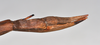 CollectionObject 1558569; 53e1fdbb-9161-455d-bcb1-b772a9e51aaa: copyright NTUC. female: end of abdomen, lateral view (syntype). (CollectionObject).;CollectionObject 1558570; bfcc2c1d-711c-4901-beb1-4a62427f0abc: copyright NTUC. female: end of abdomen, lateral view (syntype). (CollectionObject).