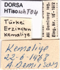 CollectionObject 1507168; 3d5a07f9-79e9-4941-868c-d10c4e412998: labels. (CollectionObject).