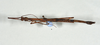 CollectionObject 1559410; 709b48d2-1f07-40d4-a5d7-111690ea043b: copyright USNM, Washington. (CollectionObject).