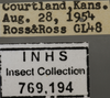 Other: !! display not done !! on Driotura robusta Osborn & Ball, 1898: Labels - Female. Labels for the Female specimen used for the dorsal, lateral and face images. (Observation).