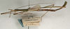 CollectionObject 1560356; NMW 1130, 1d65ab04-e7b5-417a-bcae-c6eefdff7740: copyright NMW, Vienna. male, lateral view (holotype). (CollectionObject).