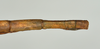 CollectionObject 1561193; e15a0b15-6a04-4cc4-8d19-90d38c185c17: copyright USNM, Washington. (CollectionObject).