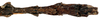 CollectionObject 1578598; 65c5b7c5-5073-473b-9c7b-3e94df8cff01: copyright ISNB, Brussels. female: end of abdomen, dorsal view (paratype). (CollectionObject).