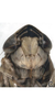 Head on Chelidinus cinerascens Emeljanov, 1962: Face. (Observation).
