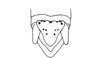 Lysacris festae (Giglio-Tos, 1898): Fig. 3. male abdomen tip, dorsal view. (Otu).