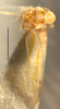 Habitus, dorsal view on Erythridula spearca (Johnson & Auten, 1936): Habitus (holotype of E. dianae Hepner, INHS collection). (Observation).