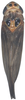 Habitus, dorsal view: Habitus, dorsal view. (Observation).