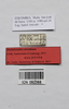CollectionObject 1563908; cc0b519f-2ecd-460d-8b0e-b86d65e1f279: Copyright Instituto de Ciencias Naturales (ICN). male data labels (holotype). (CollectionObject).