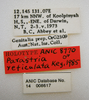 CollectionObject 1504689; 3d442c7f-2480-43e6-90c4-95a7cbbd338c: male, labels (holotype). (CollectionObject).