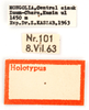 CollectionObject 1477281; cbc26076-99f0-4bbc-8f5a-180e2a93101b: labels (holotype of Tetrix antennata Steinmann, 1964). (CollectionObject).