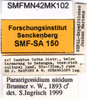 CollectionObject 1565684; 4ac5d40a-f091-46a2-ae0f-f84e373ac593: labels. (CollectionObject).