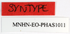 CollectionObject 1587028; d81b3c08-898b-49fd-95d0-fbf545015853: copyright MNHN, Paris. male, labels of synonym Diura discolor (syntype). (CollectionObject).;CollectionObject 1587029; 4b5d035b-c2ac-49c1-97cf-8f27961cbd2b: copyright MNHN, Paris. male, labels of synonym Diura discolor (syntype). (CollectionObject).