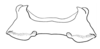Tristria discoidalis Bolívar, 1890: epiphallus. (Otu).