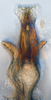 Aedeagus, ventral view: !! display not done !! on N. Gen. PH2 n. sp. 1: Paraboloponina Ishihara, 1953: (Observation).;Aedeagus, ventral view: !! display not done !! on Paraboloponina N. Gen. PH2: Paraboloponina Ishihara, 1953: (Observation).