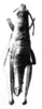 CollectionObject 1535549; 18ad5253-ffa9-4f73-8d45-c8434a3ee69f: Fig. 6 A. male, dorsal view (holotype). (CollectionObject).