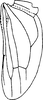 Hind wing: Hind wing (E. bisetosa Dwor.). (Observation).