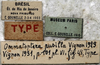 CollectionObject 1539706; 53f8a6b7-43e3-44a9-bc1d-bd6b6f35fc0a, MNHN-EO-ENSIF727: labels (holotype). (CollectionObject).