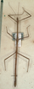 CollectionObject 1557749; bcfe3578-c985-44ff-ab52-ad49b8517855: copyright NMW, Vienna. male Carausius strumosus (syntype). (CollectionObject).;CollectionObject 1557750; 50ee3d39-7e2d-48ad-8cbf-b1ba37969181: copyright NMW, Vienna. male Carausius strumosus (syntype). (CollectionObject).