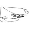 Pygofer, lateral view on Elymana pallidipennis (Lindberg, 1929): Pygofer, lateral view. (Observation).