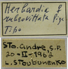 CollectionObject 1542799; 02d5fd6d-6d5e-4e65-969d-db528b75f575: female, labels (holotype of Herbardius rubrovittatus). (CollectionObject).