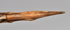 CollectionObject 1558564; 3ae685c8-f1c6-4bd0-85f7-d0b8fa72a781: copyright NTUC. female: end of abdomen, ventral view (syntype). (CollectionObject).;CollectionObject 1558565; b09dd22e-7f33-4771-b1d9-24d893a97422: copyright NTUC. female: end of abdomen, ventral view (syntype). (CollectionObject).