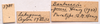 CollectionObject 2053562; 59aed29a-c99c-4c80-83a6-875e620c6f57, CNMS 3781: labels (paratype). (CollectionObject).