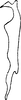 Stylus on Arboridia (Arborifera) samadi (Samad & Ahmed, 1979): Stylus. (Observation).