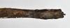 CollectionObject 1590026; b3f258cf-c573-4560-affb-f30068917691: copyright MNHN, Paris. female: end of abdomen, ventrral view (holotype). (CollectionObject).