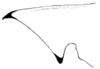 Belocephalus subapterus peninsularis Hebard, 1926: Pl. 8 fig. 4 (after type). male fastigium, lateral view. (Otu).