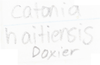 Other on Catonia haitiensis Dozier, 1931: (Observation).