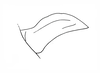 Brownacris microptera Dirsh, 1958: Fig. 7. male cercus, lateral aspect. (Otu).