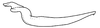Stylus on Coarctana taurina Domahovski & Cavichioli, 2023: Male holotype [DZUP]: style, dorsal view. (Observation).
