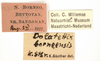 CollectionObject 1567869; fab4d06f-3aeb-41a1-bc39-7982f37b1856: labels. (CollectionObject).