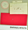 Princisaria ugandana Kumar, 1975: Holotype, male, labels, reverse. BMNH(E)#876376. (Otu).