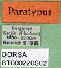 CollectionObject 1501844; 1caead37-512d-494c-aab0-f9f8ee4adf73: labels (paratype). (CollectionObject).