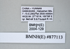 CollectionObject 1573498; 114f512c-dee7-4044-b809-e51dd76ce1a5: Copyright NHM, London. data labels, non-type. (CollectionObject).