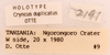 CollectionObject 1522767; b72b8fb4-7164-4e49-a28e-e1a3b048b396: Male, labels (holotype). (CollectionObject).