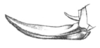 Diophanes salvifolius salvifolius (Lichtenstein, 1796): Pl. 21, Fig. 18. ovipositor (as Gryllus (Tettigonia) perspicillata). (Otu).