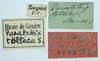 CollectionObject 1477171; 8581e8c2-677b-48b4-9446-9274ff5e5977: labels (lectotype). (CollectionObject).