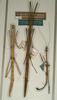CollectionObject 1559073; 44291758-9570-471d-b6ae-d45da8355529: copyright NMW, Vienna. male and female (syntypes). (CollectionObject).;CollectionObject 1559074; 2451ce58-85e4-4ce9-9ca3-0ba8783ef77d: copyright NMW, Vienna. male and female (syntypes). (CollectionObject).