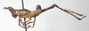 CollectionObject 1543569; f6323261-1eba-4c15-891d-0aadbbde2473: male, lateral view (holotype). (CollectionObject).