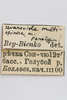 CollectionObject 1593071; 8ab918ee-fb6c-40cc-9671-74f39b2469e1: labels (paratype). (CollectionObject).