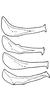 Pygofer appendages on Empoascanara (Empoascanara) dravidana Dworakowska, 1980: Pygofer dorsal appendage. (Observation).