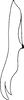 Pygofer ventral appendages, ventral view on Falcitettix (Falcitettix) guttiger (Kusnezov, 1929): as Mocuellus minor. (Observation).