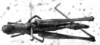 Eutemnomastax saurus (Burr, 1899): Image Carbonell, C.S. female, dorsal view (unspecified type). (Otu).